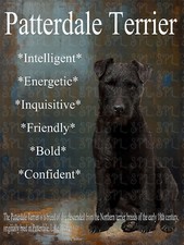 Patterdale Terrier Breed