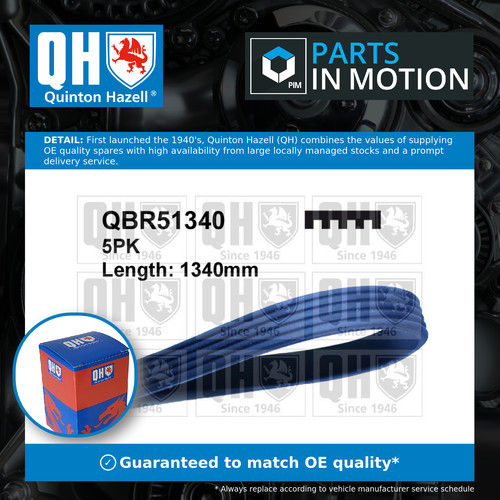 Rib multi drive belt fits - drive,