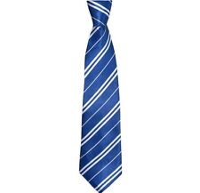 Wizard Tie for Ravenclaw Harry