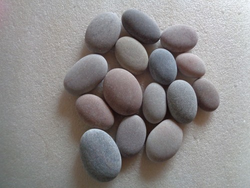 Smooth oval sea shore - oval,