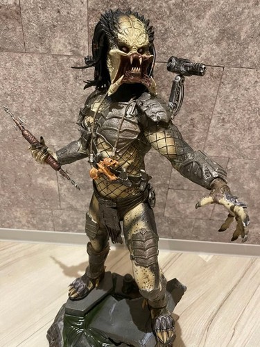 Predator wolf - predator,