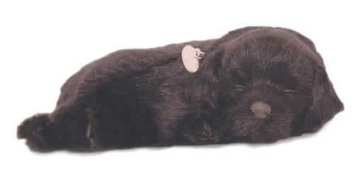 Precious petzzz breathing - precious,