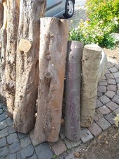 YEW WOOD LOGS  FOR TURNING OR