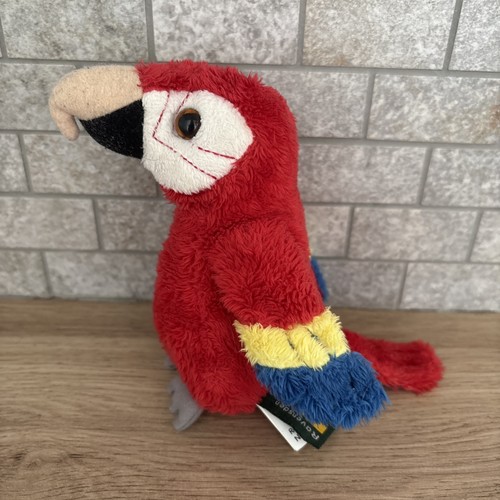 Ravensden macaw parrot bird - macaw,