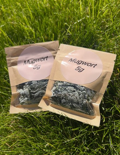 Dried mugwort organic - 5g,