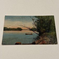 Vintage Antique Postcard Cedar