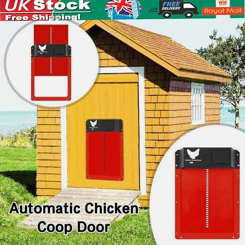 Automatic chicken coop - chicken, door