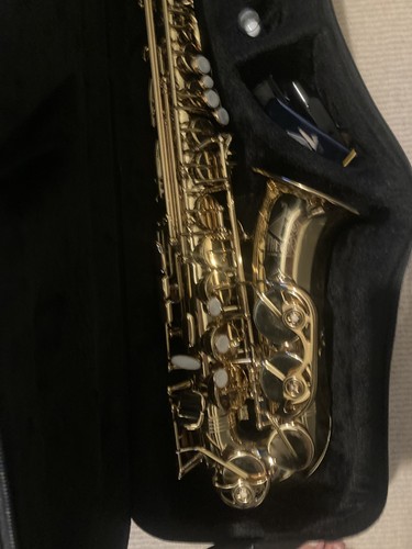 Saxophone the horn trevor - saxophone,