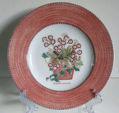 Wedgwood 1997 sarah garden - sarah's,