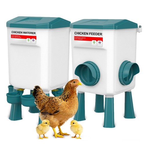 Macirept automatic chicken - macirept,