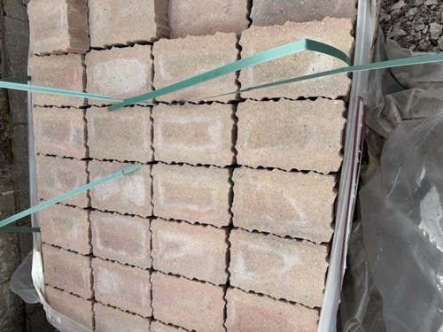Tegula priora 160 - tegula,