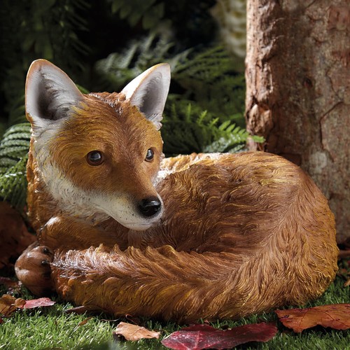 Curled fox garden - curled,