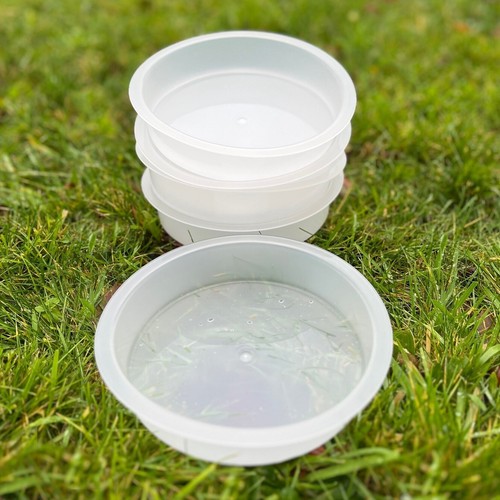 Water dish bird bath - water,