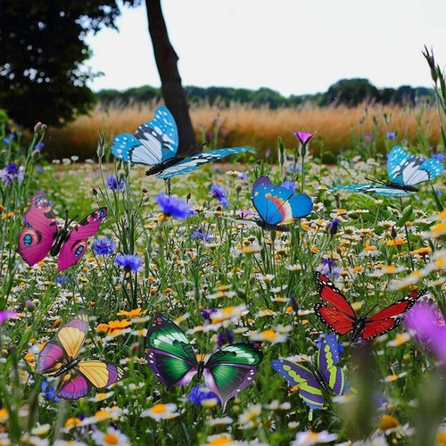 50x colourful butterflies - colourful,