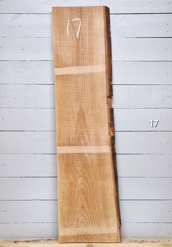 Steamed beech live edge - live,