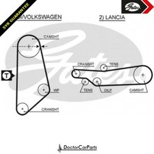 Oil Pump Timing Belt FOR LANCIA GAMMA 81->85 2.5 Petrol 830 A.000 830 A4.000