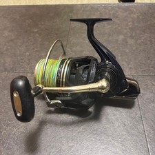 Daiwa Windcast 4500 310375