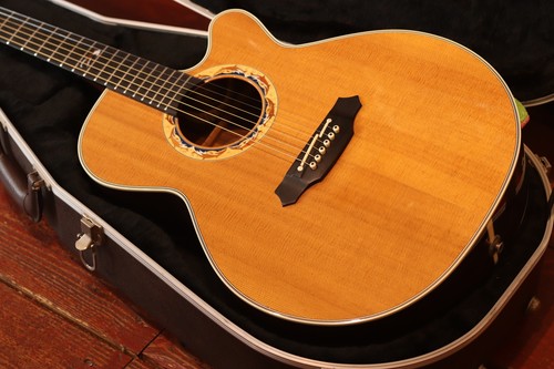 Takamine dolphin 2001 limited - 2001,