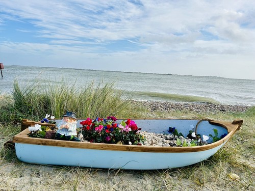 The launch garden boat - launch,