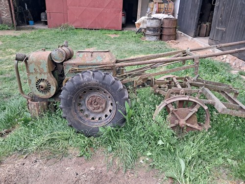 Trusty vintage walking