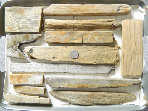 Driftwood pieces flat one side - one,