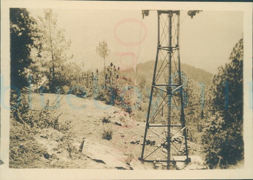 1929 photo timber - 1929, cable