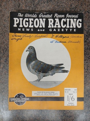 Pigeon racing news and - pigeon,