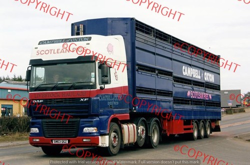 Truck lorry photo campbell - photo,