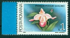 1988 Orchid,Orchidee - Phragmipedium schlimii / Colombia - Romania,MNH