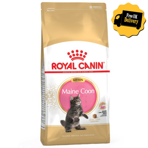 Royal canin maine coon - royal, kitten