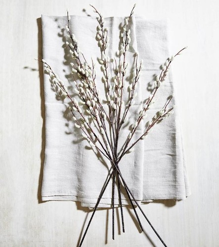 The white company pussy willow - white,