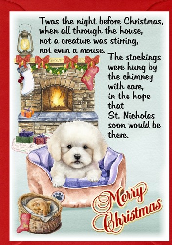 Bichon frise dog christmas - bichon,