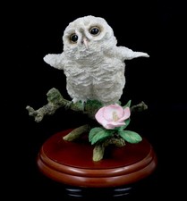 BORDER FINE ARTS OWLET WITH