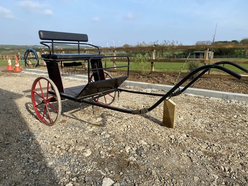 Bellcrown pony trap - pony,