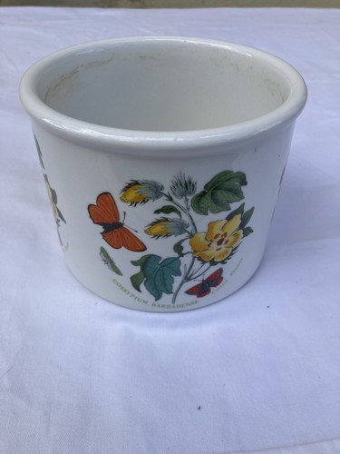 Portmeirion botanic plant pot - plant,