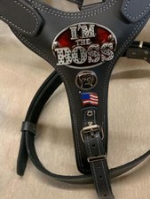 LEATHER DOG HARNESS/AMERICAN