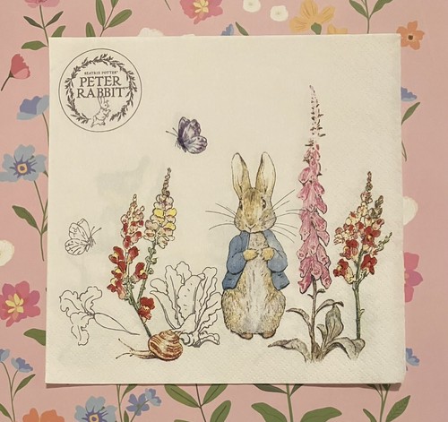 Peter rabbit paper - 4,