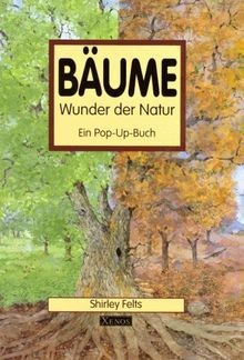 Bäume wunder der natur ein - bäume,