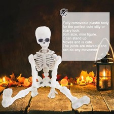 Halloween Movable Skeleton Human Model Skull Full Body Toy Figure ScarHY78M P7V2