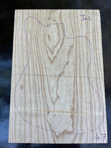 Swamp ash one - swamp, guitar