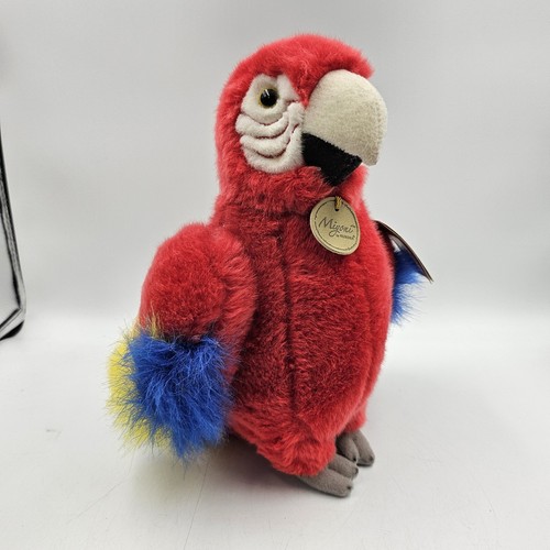 Aurora miyoni parrot - aurora,