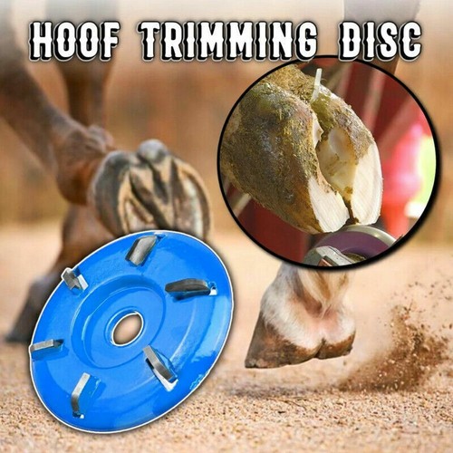 Electric hoof trimmer horse - hoof,