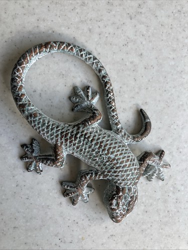 New gecko lizard - gecko,