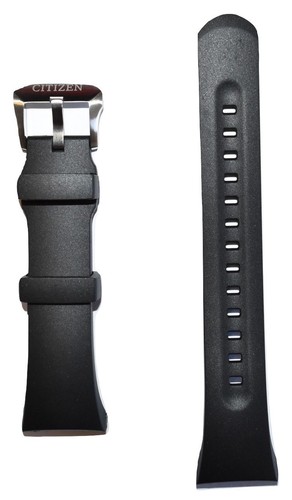 Original citizen promaster - original,