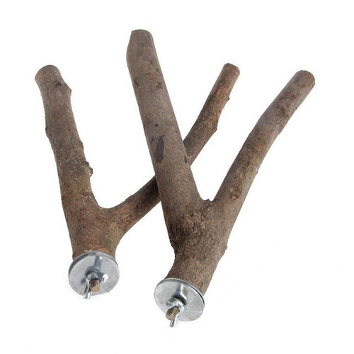 2pcs parrot stand - parrot, bird
