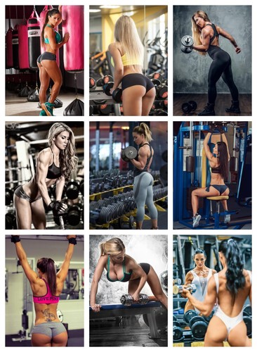Gym babe workout poster - babe, many