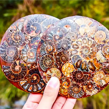 Large 11cm High Quality Lovely