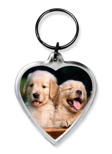 Dog keyrings heart - heart, shape