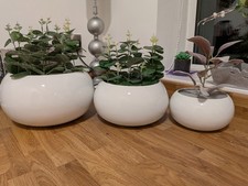 3 stunningly simple White