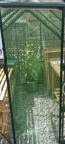 Green chain fly insect - /,